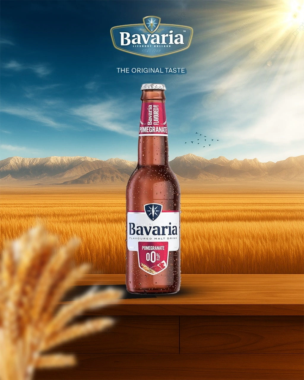 MY WORKS digital marketing expert in Wayanad